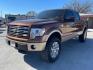 2011 Golden Bronze Metallic/Pale Adobe Metallic /Pale Adobe Leather Interior Ford F-150 King Ranch SuperCrew 6.5-ft. Bed 2WD (1FTFW1CF8BK) with an 5.0L V8 engine, 6-Speed Automatic transmission, located at 12182 Garland Rd, Dallas, TX, 75218, (214) 521-2040, 0.000000, 0.000000 - Photo#4