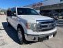 2014 Oxford White Ford F-150 XLT SuperCrew 5.5-ft (1FTFW1EF6EK) with an 5.0L V8 engine, 6-Speed Automatic transmission, located at 12182 Garland Rd, Dallas, TX, 75218, (214) 521-2040, 0.000000, 0.000000 - Photo#0