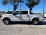 2014 Oxford White Ford F-150 XLT SuperCrew 5.5-ft (1FTFW1EF6EK) with an 5.0L V8 engine, 6-Speed Automatic transmission, located at 12182 Garland Rd, Dallas, TX, 75218, (214) 521-2040, 0.000000, 0.000000 - Photo#3