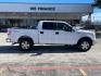 2014 Oxford White Ford F-150 XLT SuperCrew 5.5-ft (1FTFW1EF6EK) with an 5.0L V8 engine, 6-Speed Automatic transmission, located at 12182 Garland Rd, Dallas, TX, 75218, (214) 521-2040, 0.000000, 0.000000 - Photo#5