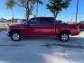 2016 Race Red Ford F-150 XLT SuperCrew 5.5-ft. Bed 2WD (1FTEW1CF5GK) with an 5.0L V8 engine, 6-Speed Automatic transmission, located at 12182 Garland Rd, Dallas, TX, 75218, (214) 521-2040, 0.000000, 0.000000 - Photo#6