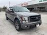 2013 Gray Ford F-150 FX2 SuperCrew 5.5-ft. Bed 2WD (1FTFW1CF2DF) with an 5.0L V8 engine, 6-Speed Automatic transmission, located at 12182 Garland Rd, Dallas, TX, 75218, (214) 521-2040, 0.000000, 0.000000 - Photo#0